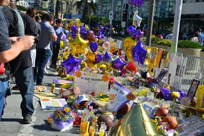 DSC_7136 (Large).JPG